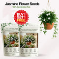 Jasmine Flower Seeds | BUY 1 GET 2 FREE!