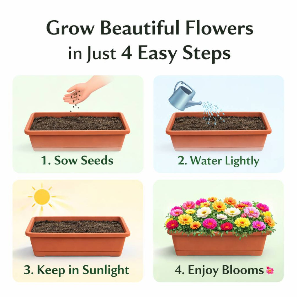 Moss Rose Perennial Flower Seeds With Free Plant Growth Supplement Liquid