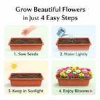 Moss Rose Perennial Flower Seeds With Free Plant Growth Supplement Liquid