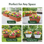 Moss Rose Perennial Flower Seeds With Free Plant Growth Supplement Liquid