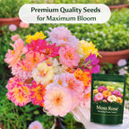 Moss Rose Perennial Flower Seeds With Free Plant Growth Supplement Liquid