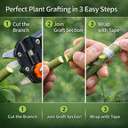 2 in 1 Garden Grafting Tool Kit with 2 Replacement Blades and 1 Grafting Base