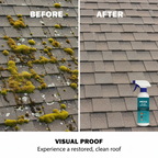 Instant Moss & Algae Remover Spray - Buy 1 Get 1 FREE